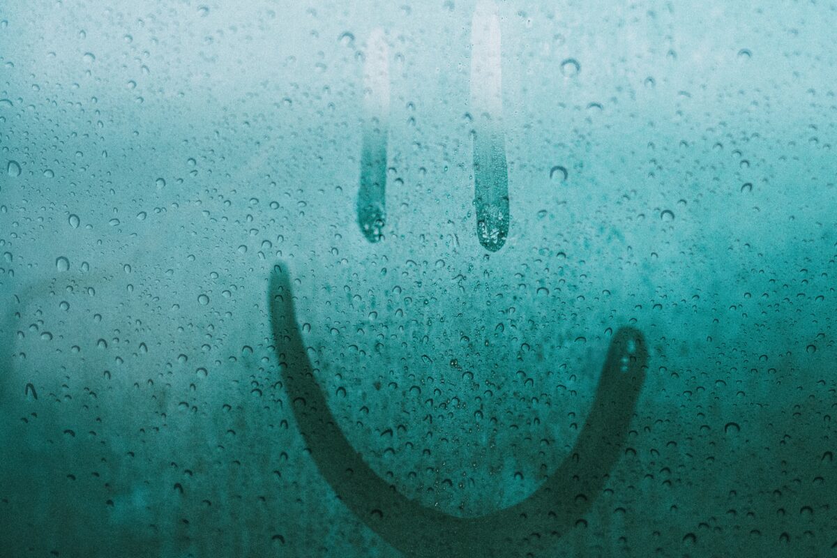 damp