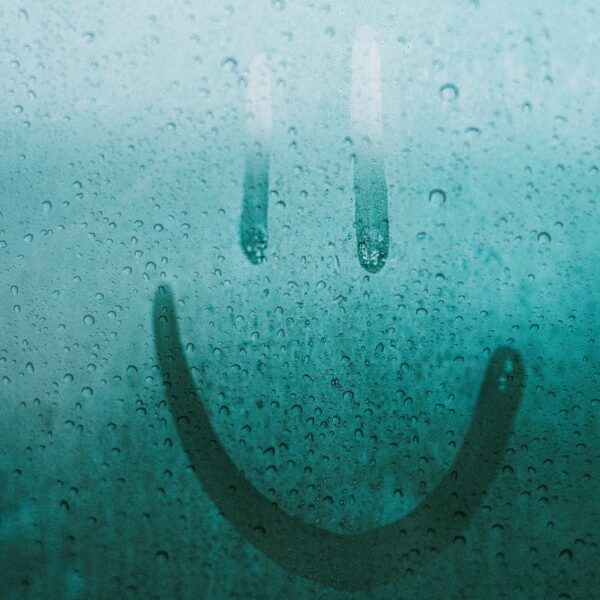 damp
