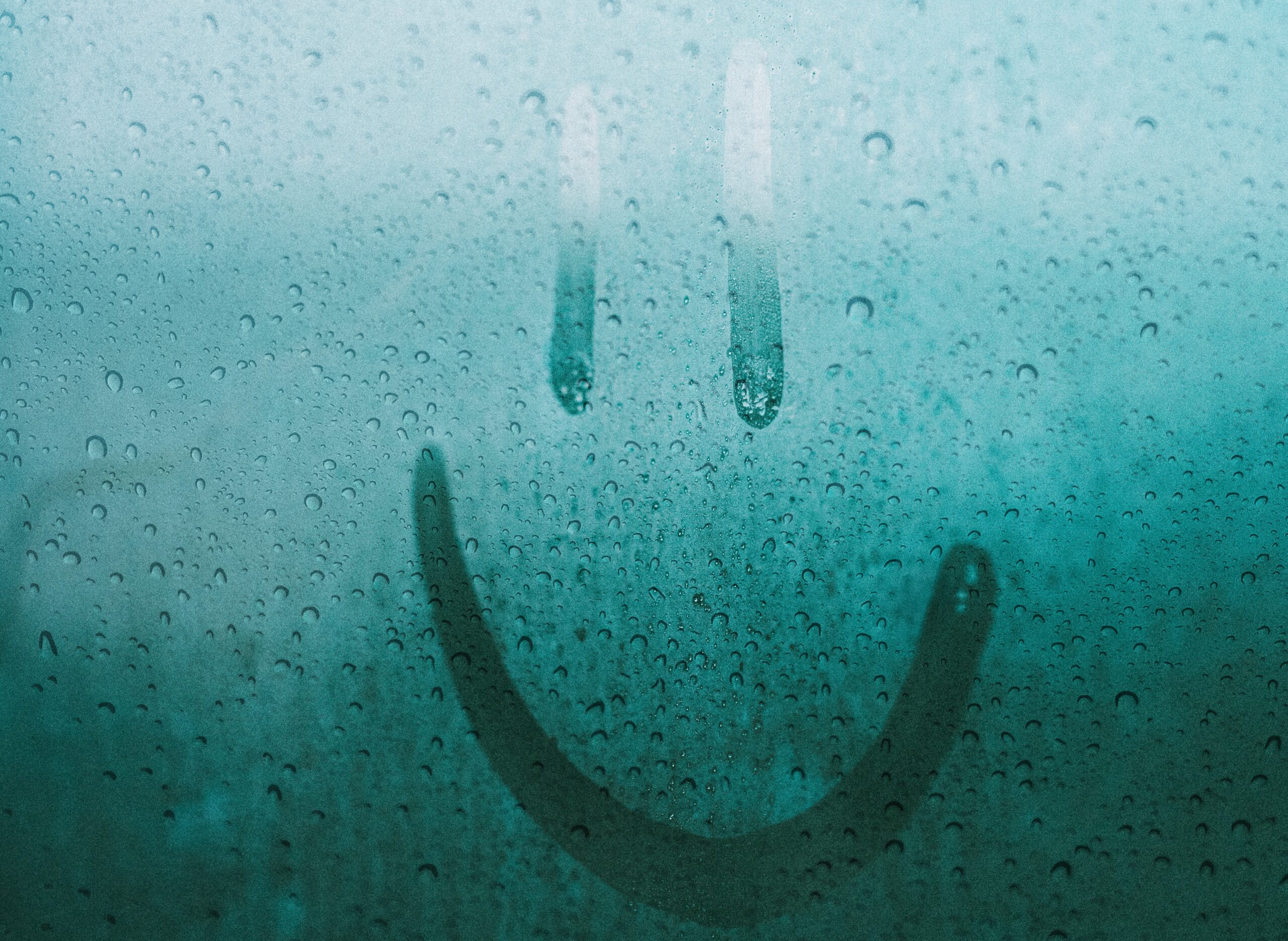 damp