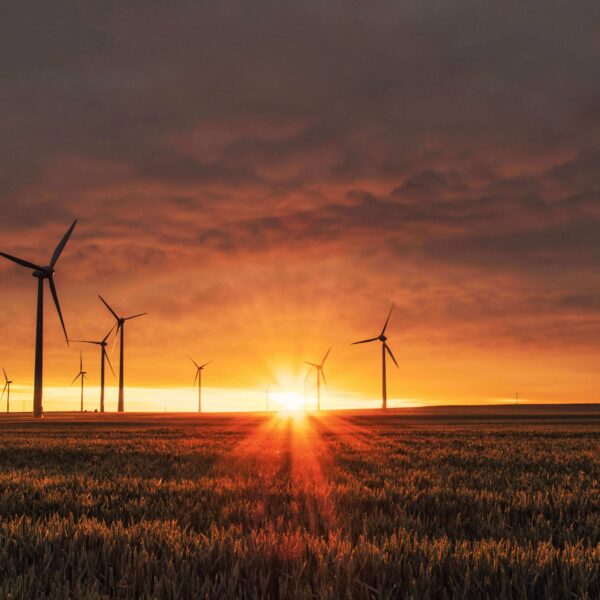5 Practical Energy-Saving Tips to Reduce Your Monthly Bills