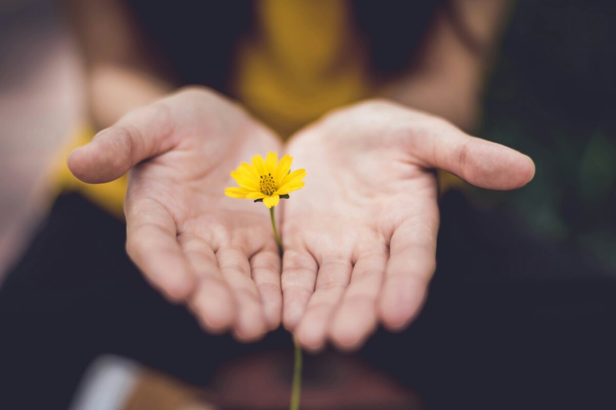 Mastering the Art of Practising Gratitude for a Mindful Life
