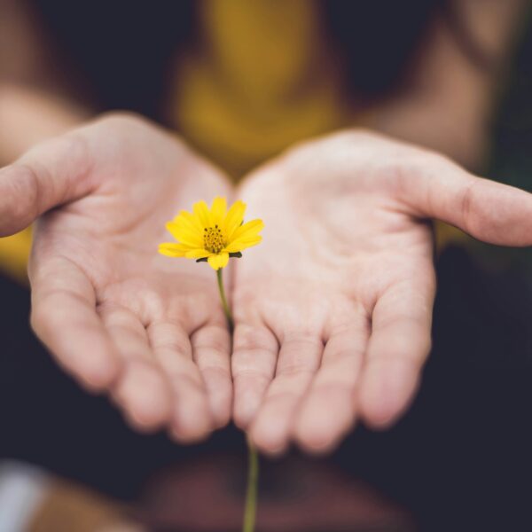 Mastering the Art of Practising Gratitude for a Mindful Life