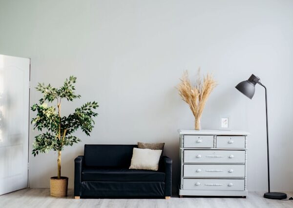 Home Organisation